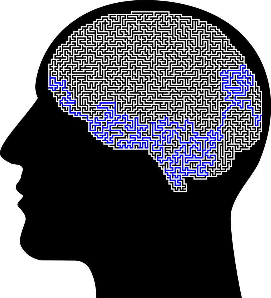 man, brain, maze-8402085.jpg